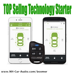remote car starter and installation cost