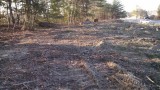 NEW-Boomer-Nashua-Site-Ready-to-Dig-pic1