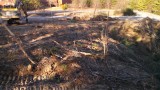 NEW-Boomer-Nashua-Site-Trees-Gone-pic1