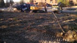 NEW-Boomer-Nashua-Site-Trees-Gone-pic2
