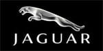 Jaguar Boomer Nashua Galleries